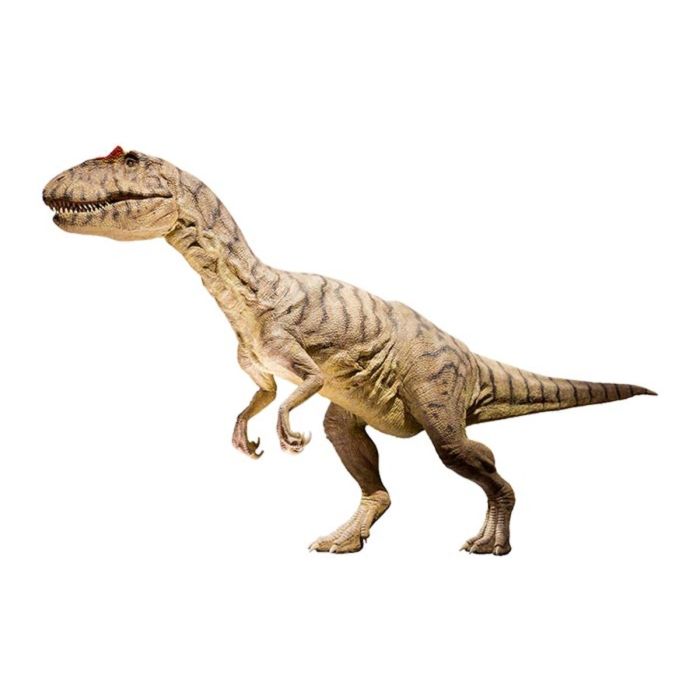 Allosaurus dinosaur