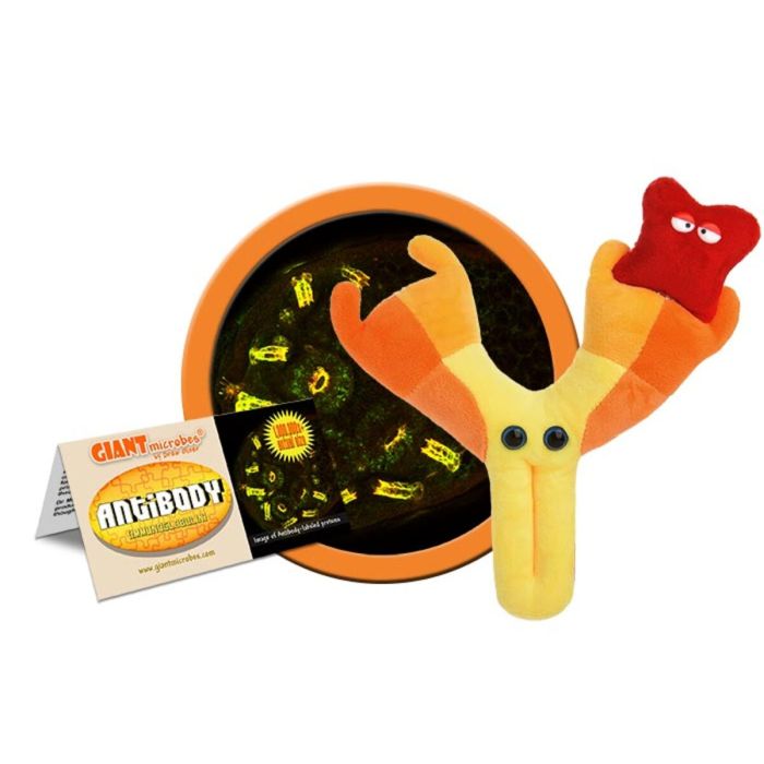 Antibody plush cluster