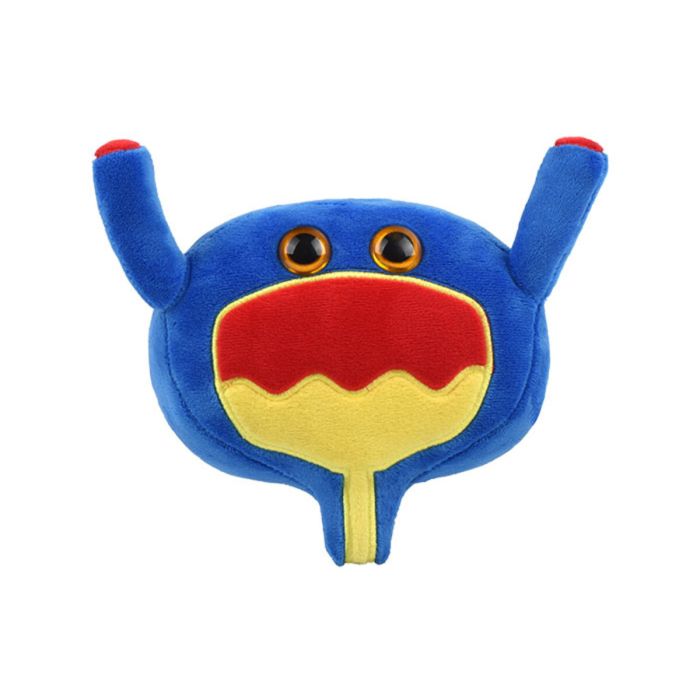 Bladder plush front