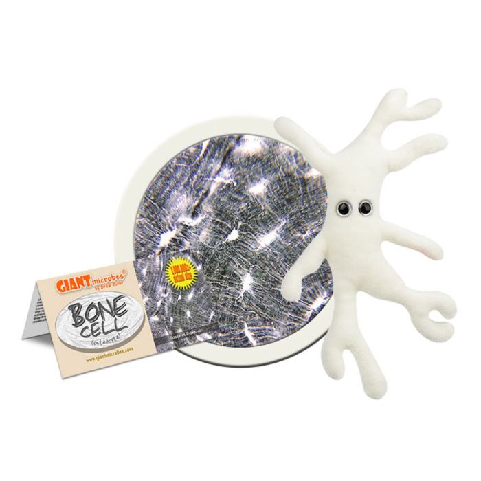 Bone Cell plush cluster