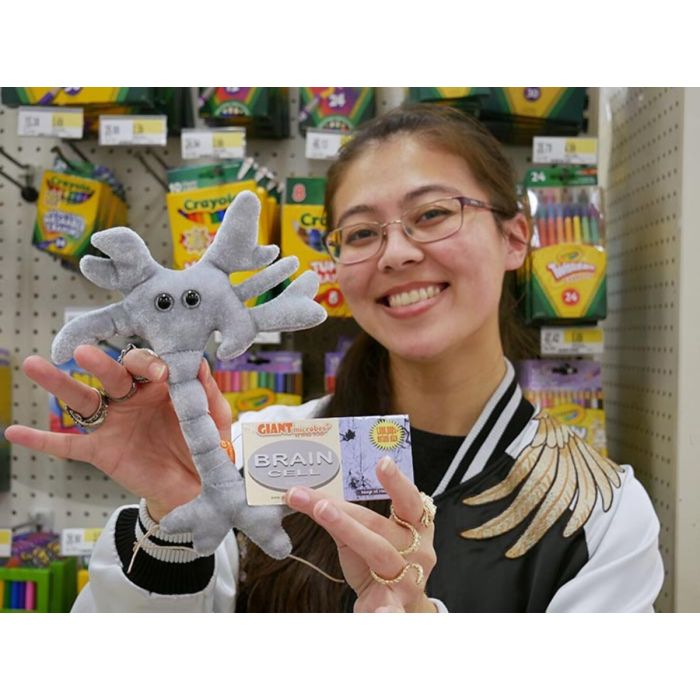 Brain Cell neuron back to school