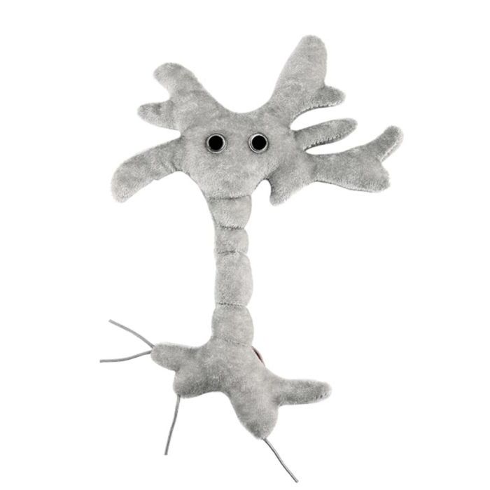Brain Cell plush front