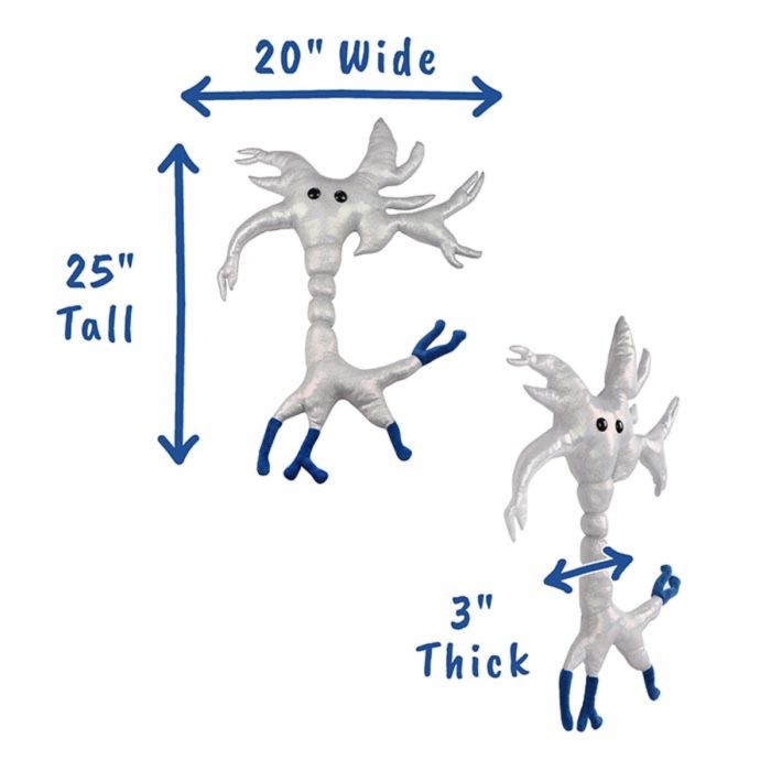 Brain Cell gigantic plush dimensions