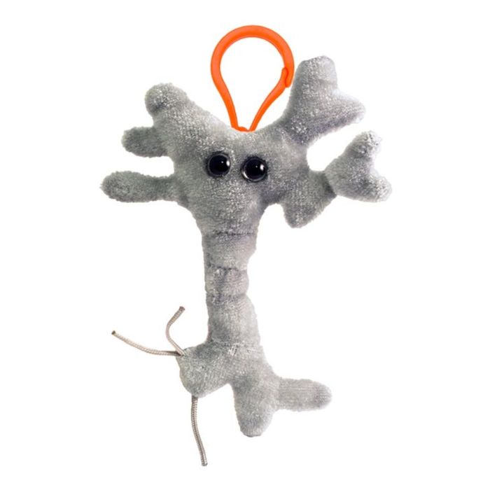 Brain Cell key ring