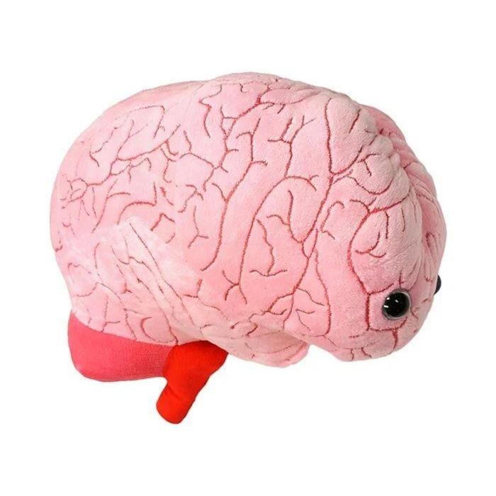 Brain gigantic plush angle