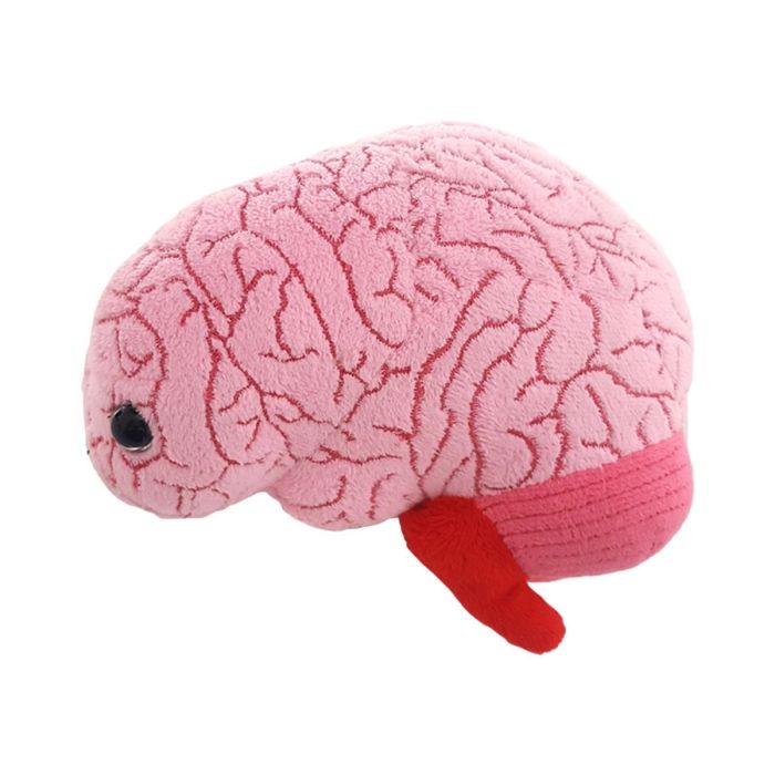 Brain organ plush doll