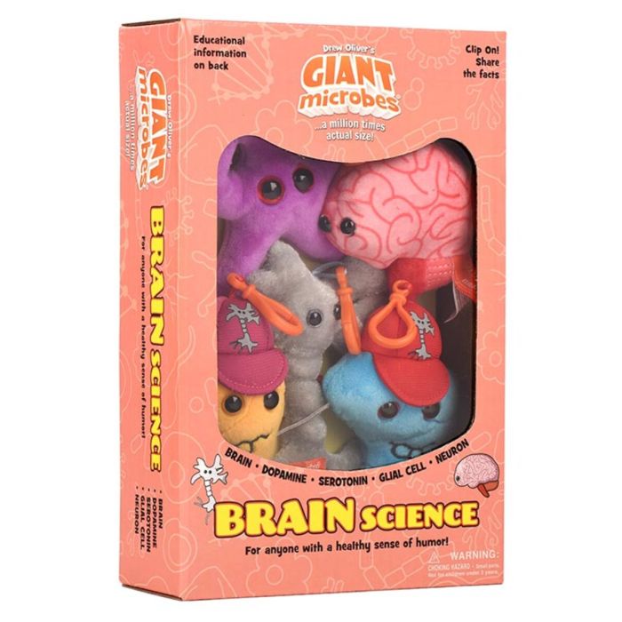 Brain Science box angle