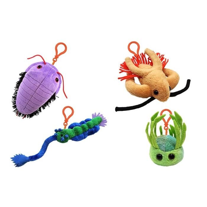 Cambrian Creatures new group