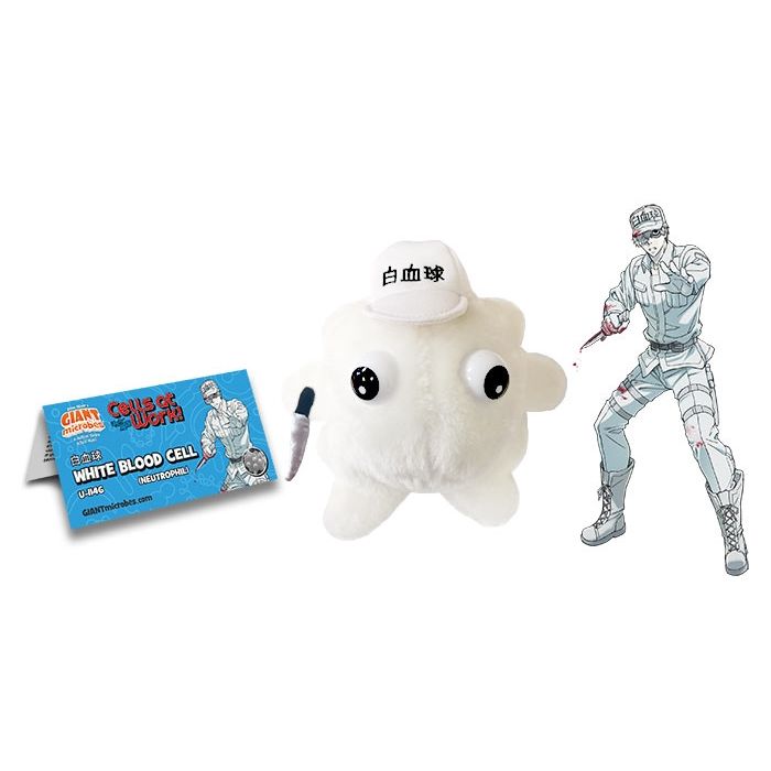 Cells at Work! White Blood cluster