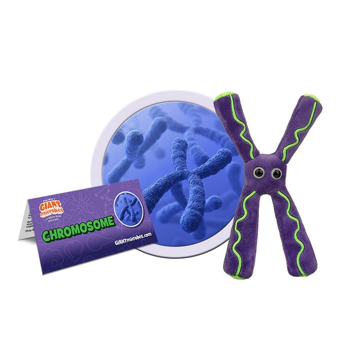 Chromosome plush cluster