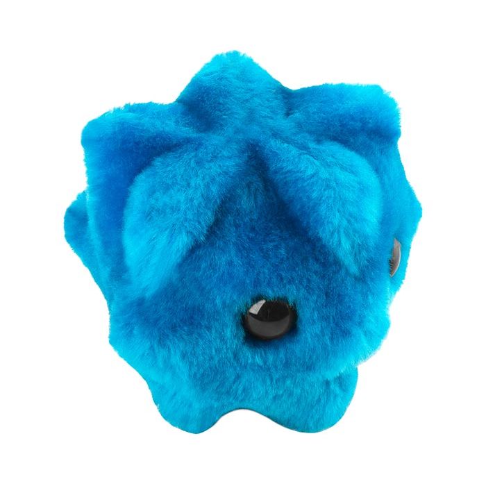 Common Cold plush angle