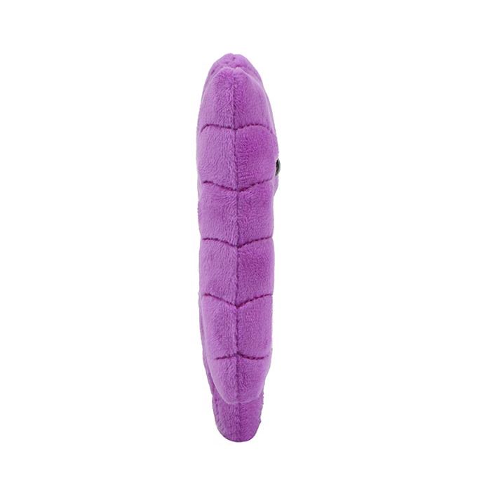 Colon plush side