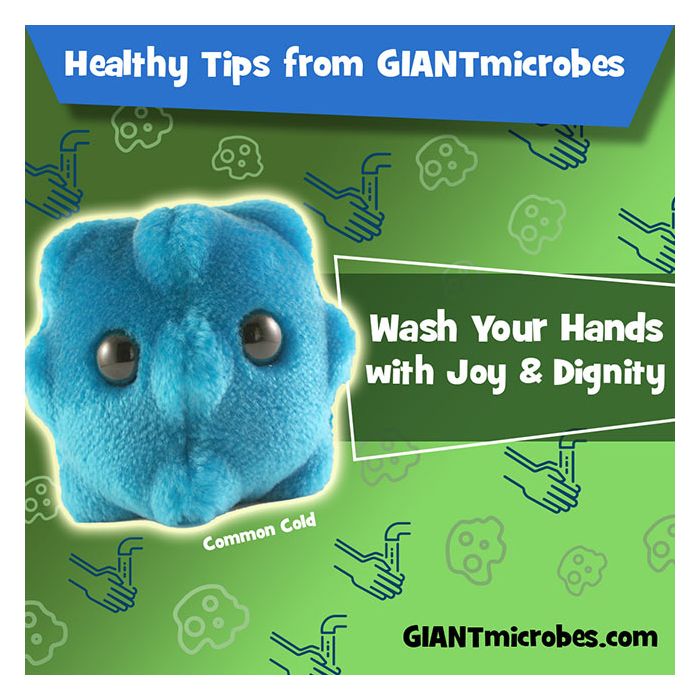 Common Cold healthy tips