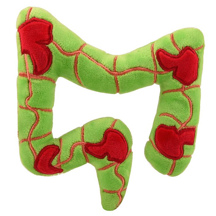 Crohn's plush back view