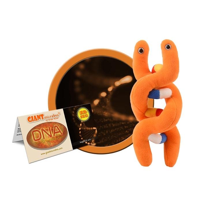 DNA plush cluster view