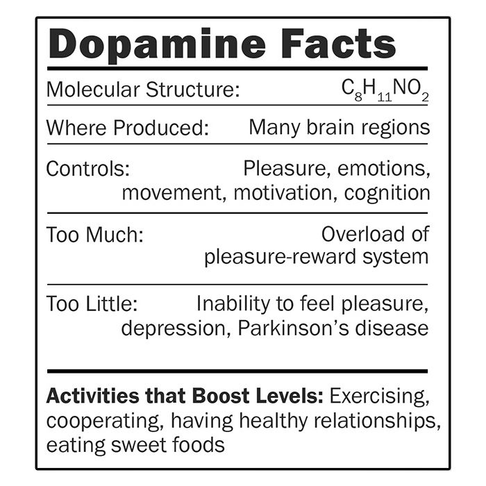 Dopamine facts