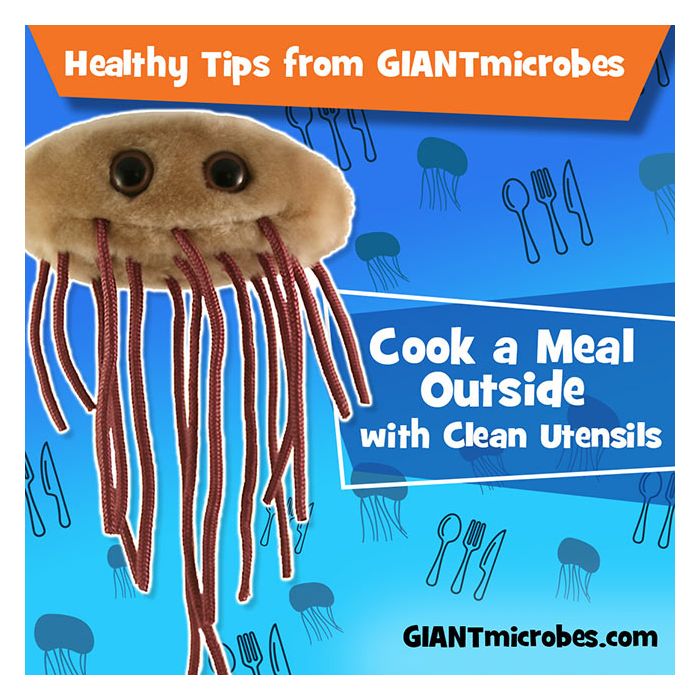 E. coli healthy tips