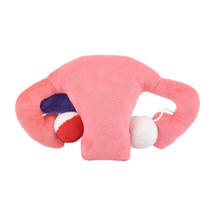 Endometriosis plush back