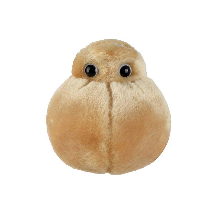 Fat Cell plush front