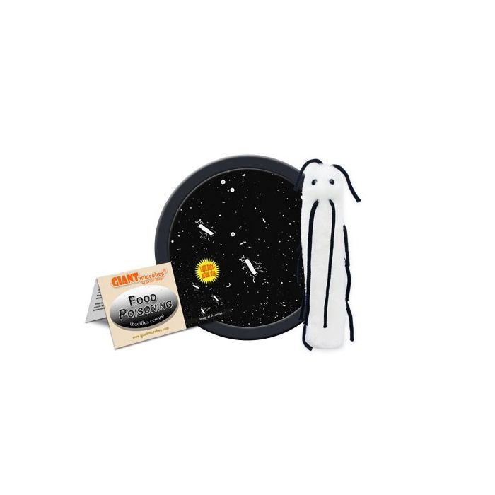 Food Poisoning cluster