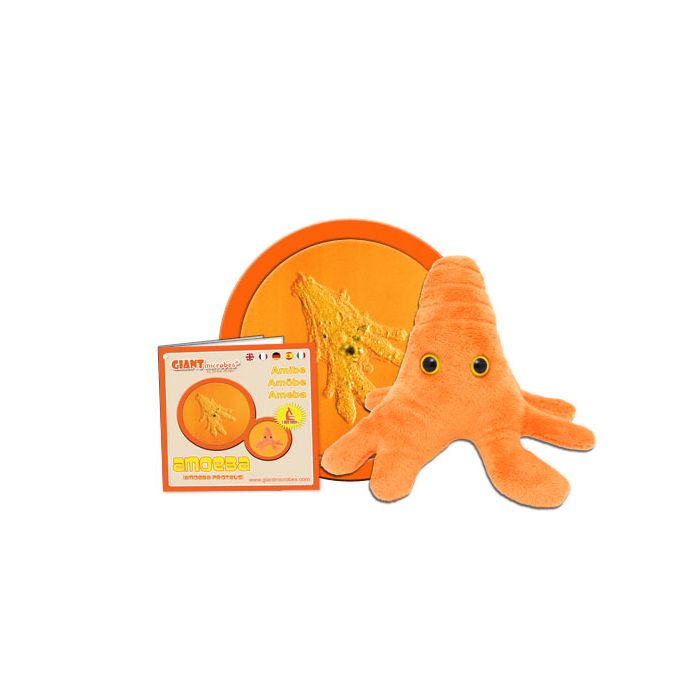 Amoeba orange cluster