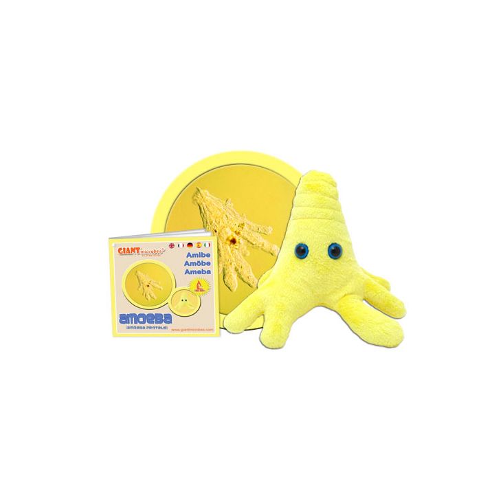 Amoeba yellow cluster