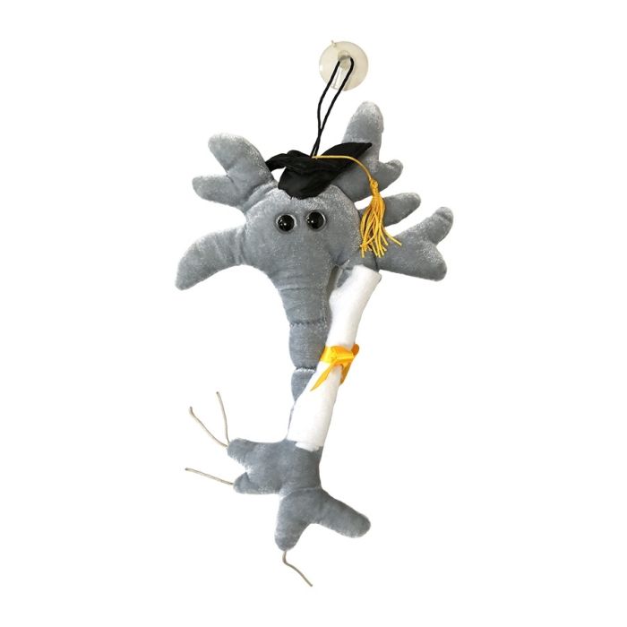 Grad Brain with Diploma plush doll