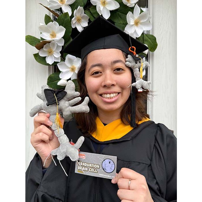 Graduation Brain Cells with model