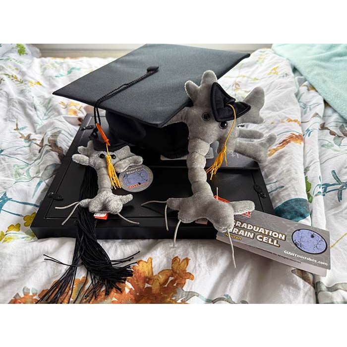 Graduation Brain Cells with cap and diploma