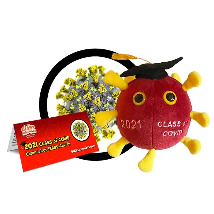 Graduation COVID 2021 cluster