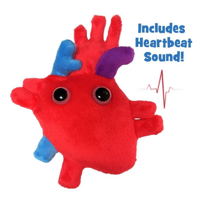 Heart organ sound doll