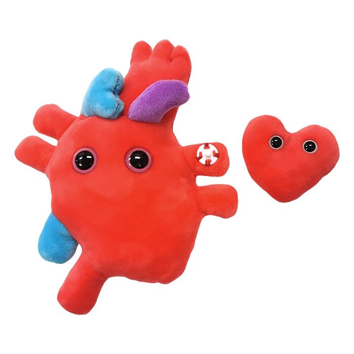 Heart-to-Heart detached mini