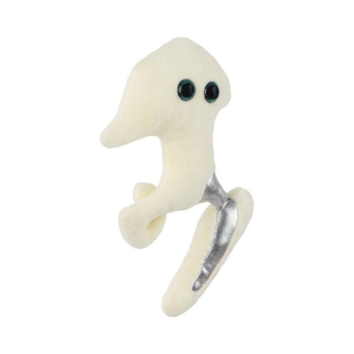 Hip Replacement plush angle