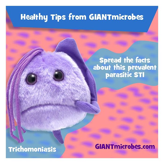Healthy Tips Trichomoniasis