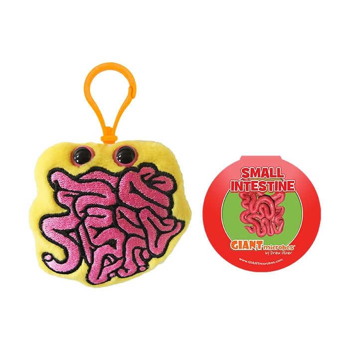 Small Intestine with tag