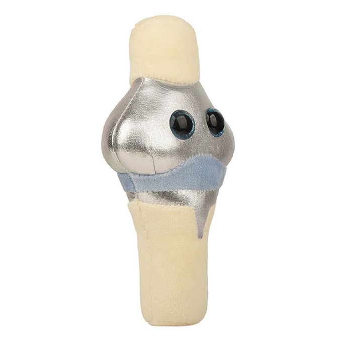 Knee Replacement plush angle