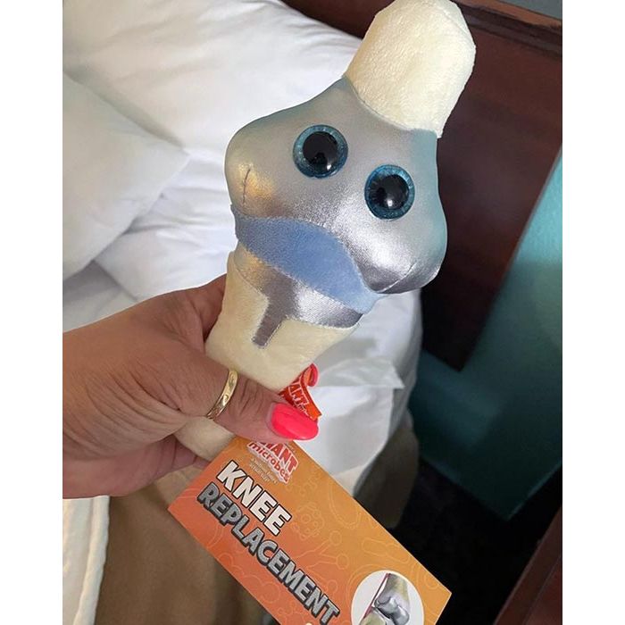 Knee Replacement in hand