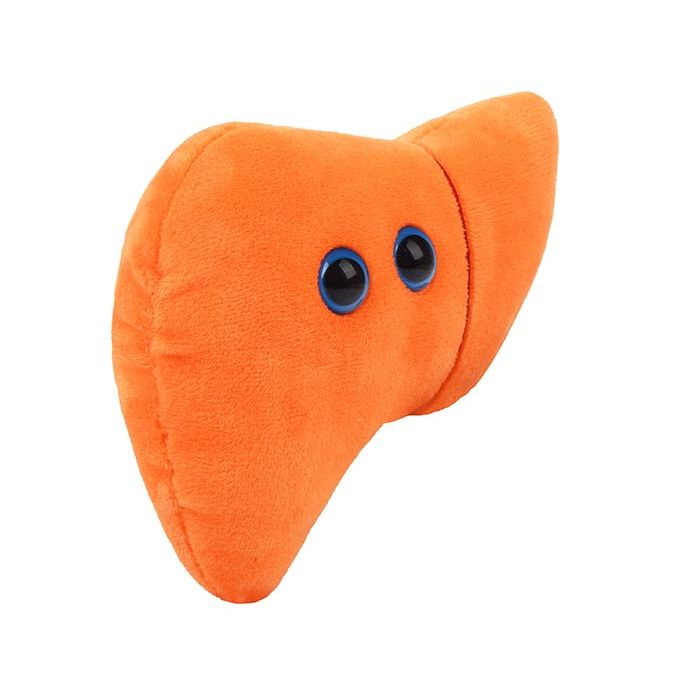 Liver plush angle