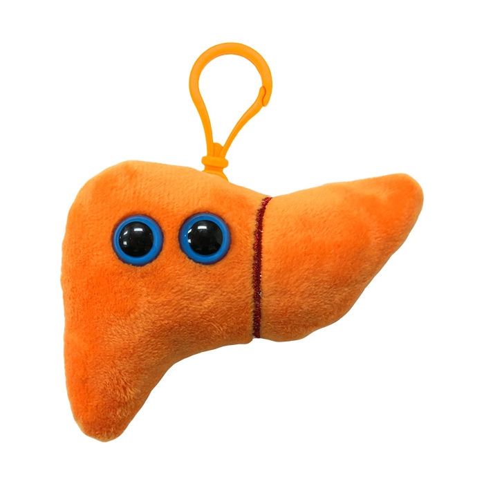 Liver key ring