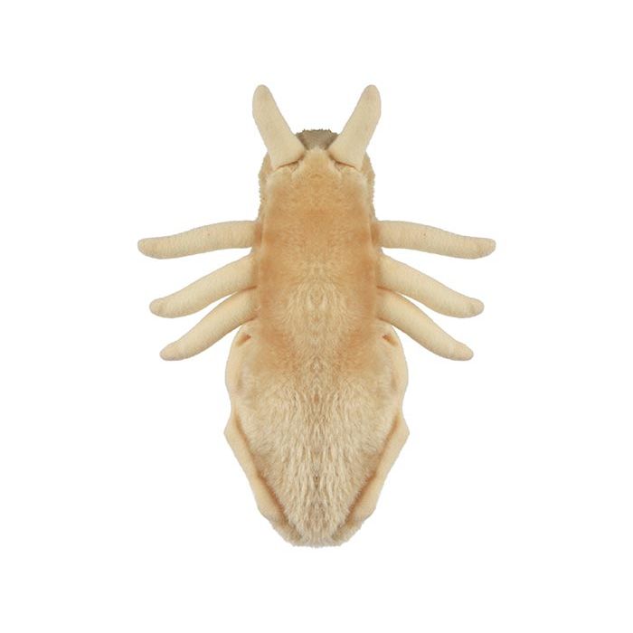 Louse plush back