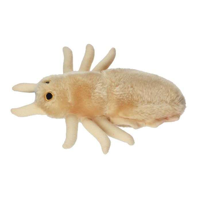 Louse plush side