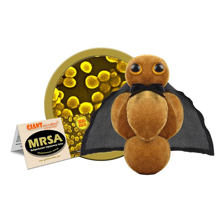 MRSA plush cluster