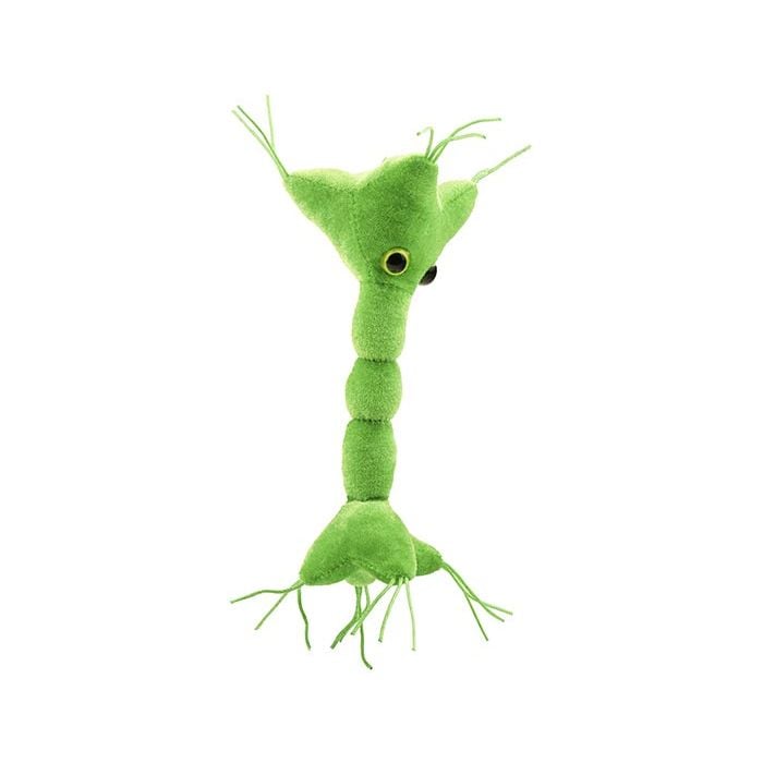 Nerve Cell plush angle