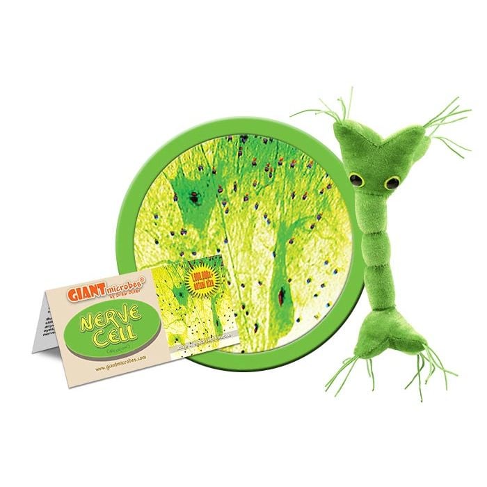 Nerve Cell plush front