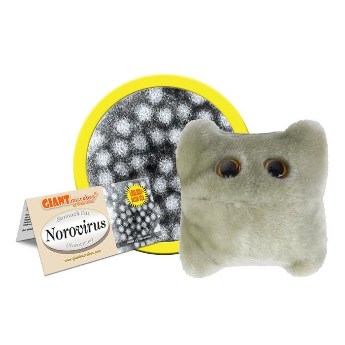Norovirus plush cluster