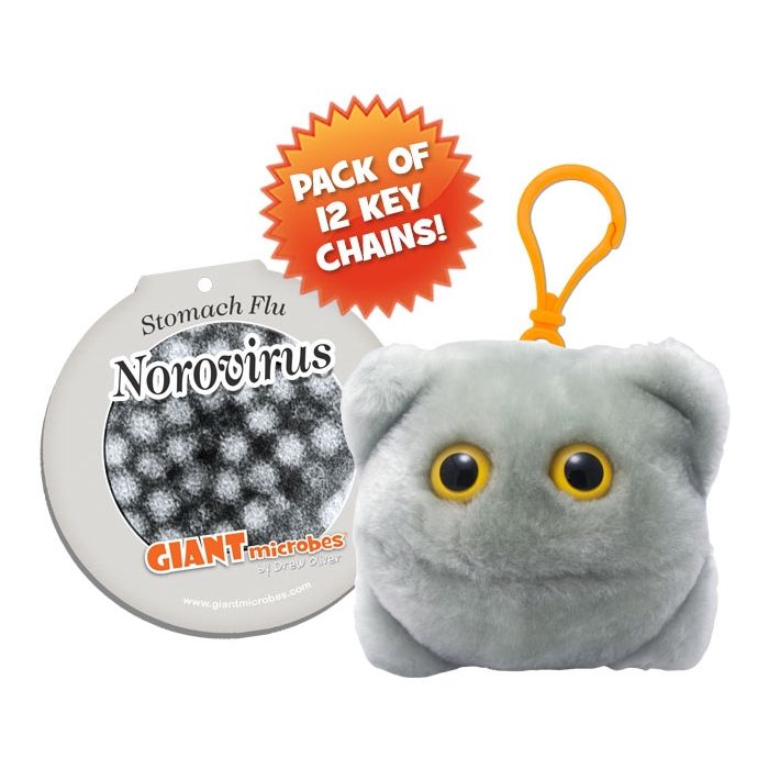 Norovirus key chain pack