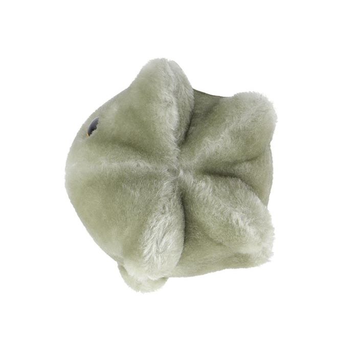 Norovirus plush side