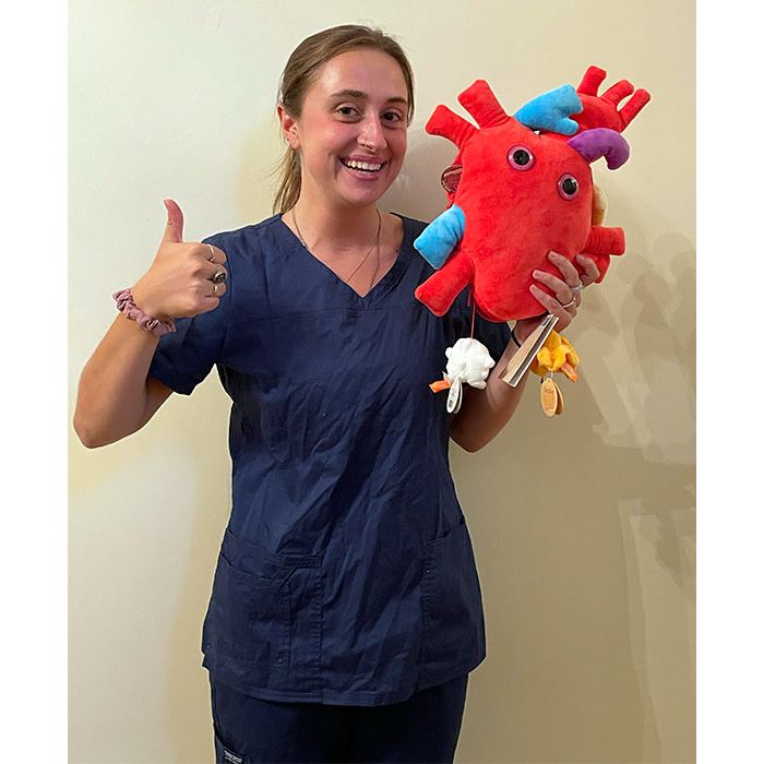 Deluxe Heart with nurse