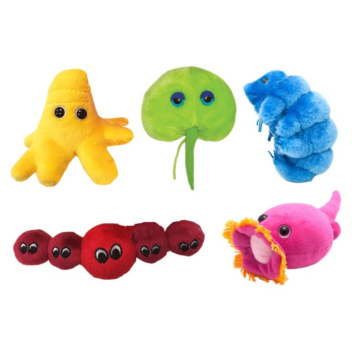 Ocean Dwellers minis