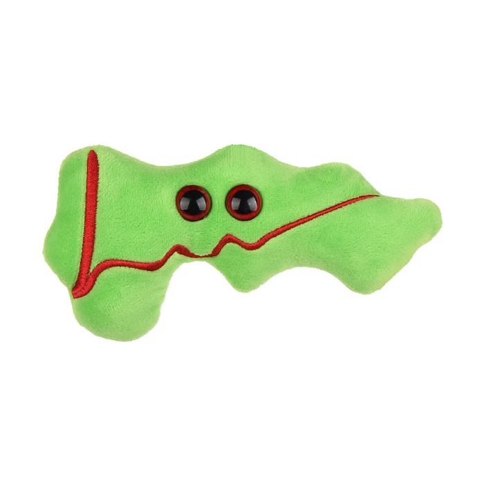 Pancreas plush front